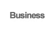 Main Business