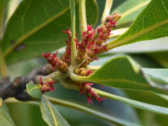 ���}��������