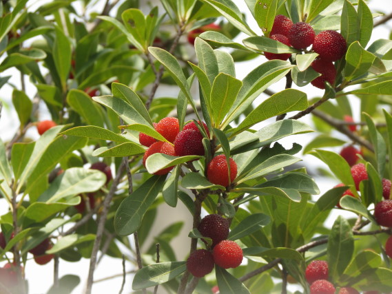 ���}����