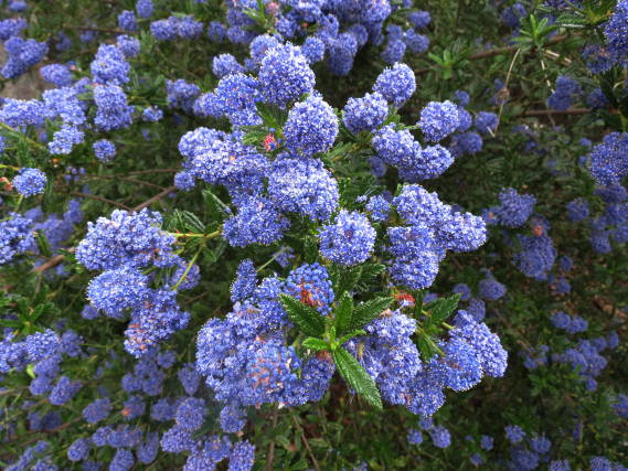 �Z�A�m�T�X�i�J���t�H���j�A���C���b�N�j